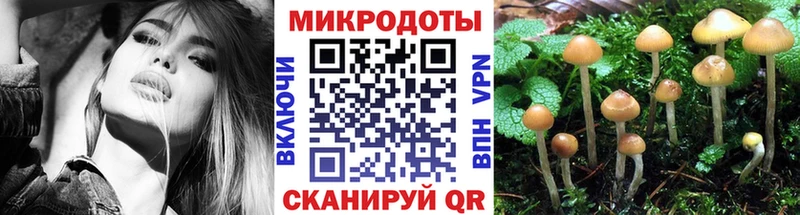 дарнет шоп  гидра зеркало  Псилоцибиновые грибы мухоморы  Тулун 